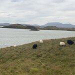 Photo taken by hanoch f