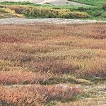 Photo taken by Nan K