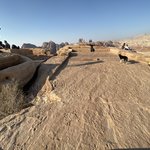 Photo taken by Daniela G