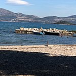 Photo taken by Sam Austin W