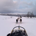 Photo taken by Amy H