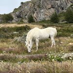 Photo taken by Lisa K