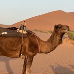 Photo taken by Don G