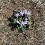 Photo taken by Judi W