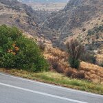 Photo taken by Jason S