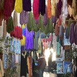 Photo taken by Tiffany M