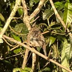 Photo taken by Fuad A