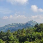 Photo taken by Camille S