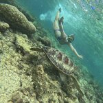 Photo taken by Edit M