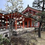 Photo taken by Norma M