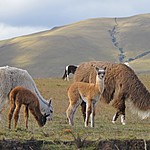 Photo taken by Marcia G