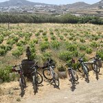 Photo taken by Michael M