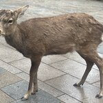 Photo taken by Kirti P