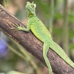 Photo taken by Sarah C