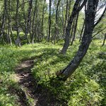 Photo taken by Kevin H