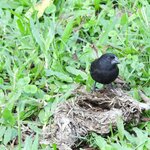 Photo taken by Patricia D