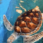 Photo taken by Kristin R