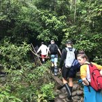 Amazon hike | Photo taken by Jessica y