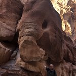 Photo taken by Marion M