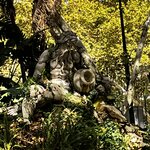 Photo taken by Dee C