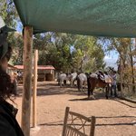 Photo taken by Mike B