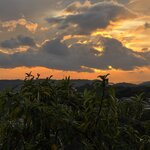 Photo taken by Natasha J