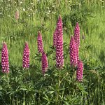 Photo taken by fred y