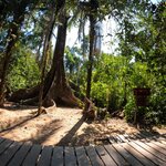 Photo taken by nikunj g