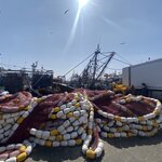 Photo taken by SARMA M