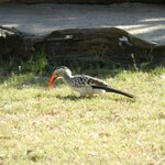 Photo taken by Linette B