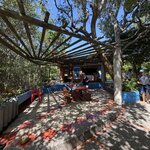 Photo taken by Kevin S