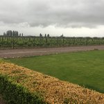 Photo taken by Cal H