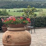 Photo taken by Kris B