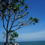 Photo taken by Alexandra G