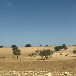 Photo taken by Pam L