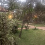 Photo taken by Kristin M