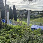 Photo taken by Mary B