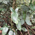 Photo taken by Anna L