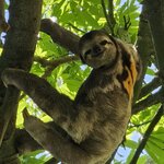 Photo taken by Peter F