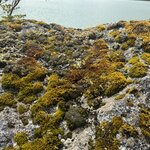 Photo taken by Rob G