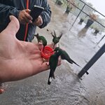 Photo taken by Elise C