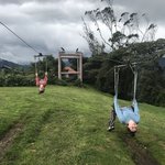 Zipping with cows | Photo taken by Jessica y