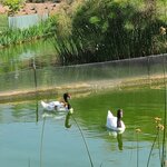 Photo taken by Bao T