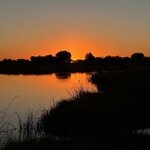 Photo taken by Tom B