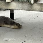 Photo taken by Amy Z