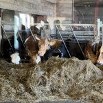 Photo taken by Cathy W