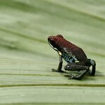 Photo taken by Sofia W