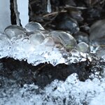 Photo taken by Sally L