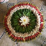 Barahi Jungle Lodge  | Photo taken by Gerald S