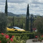 Photo taken by Elysa D